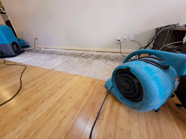 Professional Water Extraction technician working in New Holland, OH